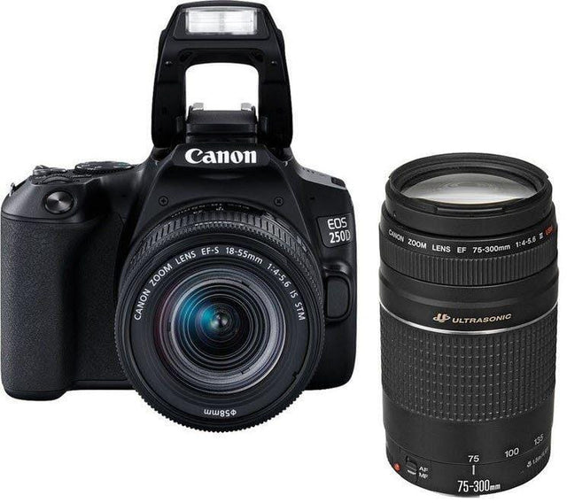 Canon EOS 250D 24.1MP DSLR Camera Dual Lens Kit 3454C033