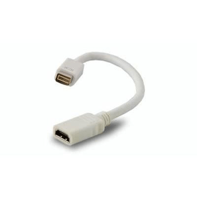 Unitek Mini DVI Male To HDMI Female Adapter Cable ADA-MDVIM-HDMIF