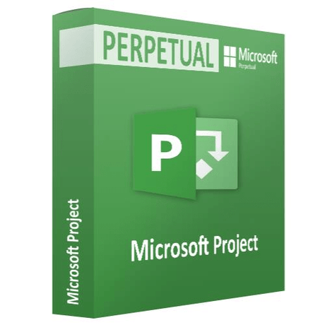 Microsoft Project Server 2019 User CAL - Perpetual License