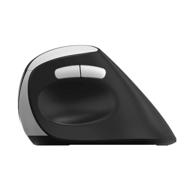 Rapoo EV250Silent-BLACK Ergonomic Wireless Mouse