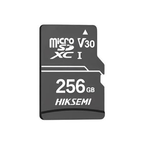 Hiksemi NEO HOME 256GB Class 10 microSDXC Memory Card HS-TF-D1-256G