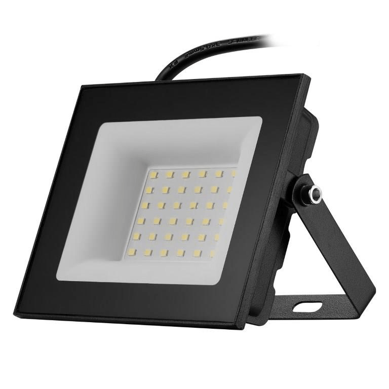 Switched Classic 30W LED Flood Light Black SWD-10015-30