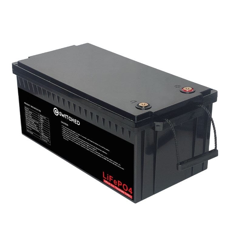 Switched 25.6V 100Ah 2560Wh LiFeP04 Battery SWD-8913-BT