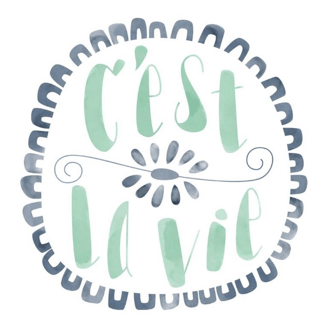 Cricut Iron-On Designs 1-sheet Large C'est La Vie 2004946