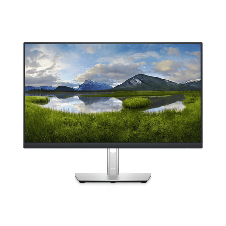 Dell P2422HE 24-inch 1920 x 1080p FHD 60Hz 8ms LCD Monitor 210-BBBG