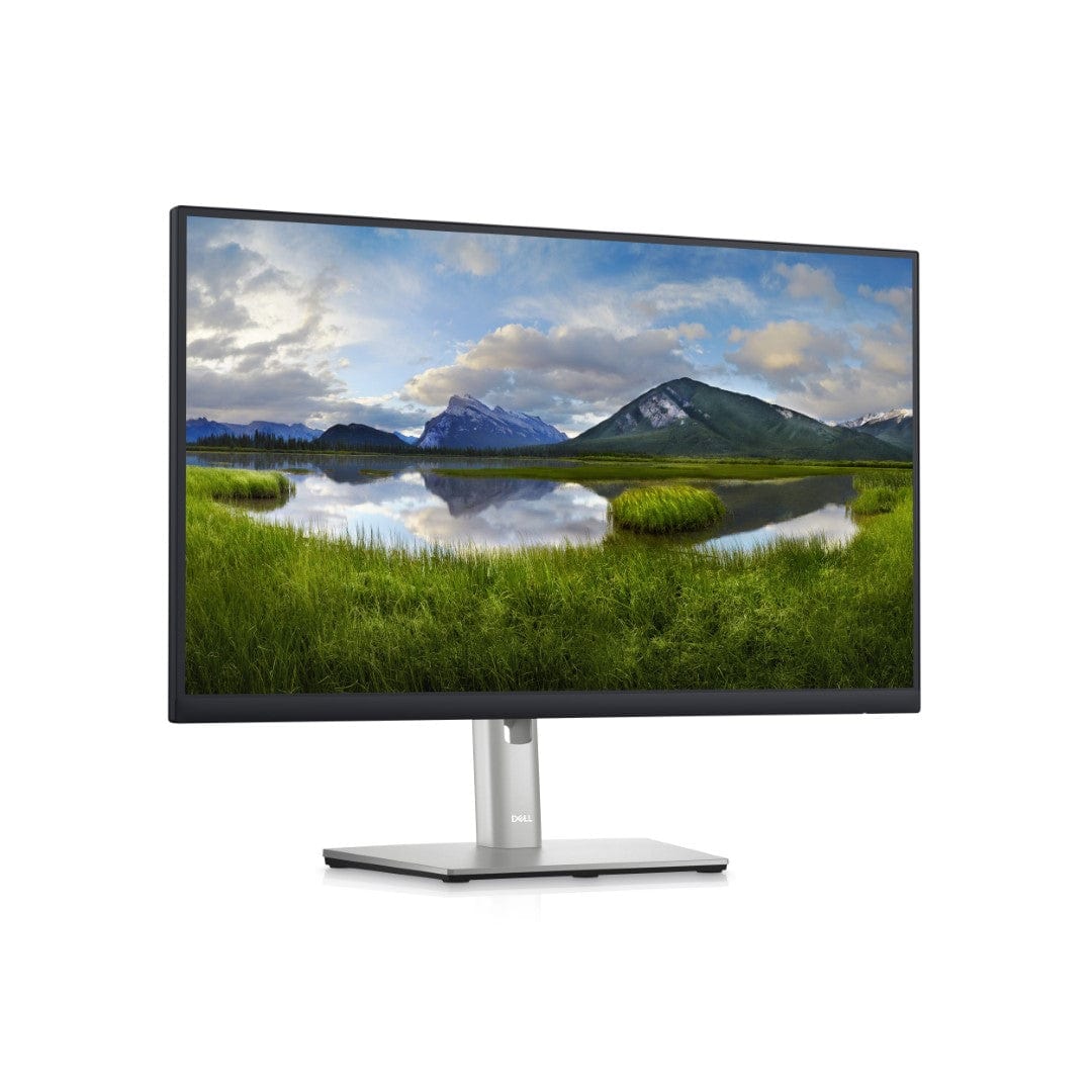 Dell P Series P2423D 24-inch 2560 x 1440p QHD 16:9 60Hz 5ms IPS LCD Monitor 210-BDEG