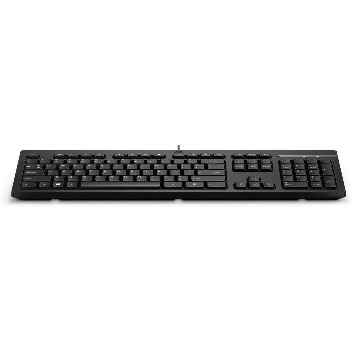 HP 125 Wired Keyboard 266C9AA