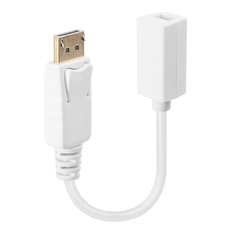 Lindy 15cm DisplayPort Male to Mini-DisplayPort Female Adapter Cable 41060