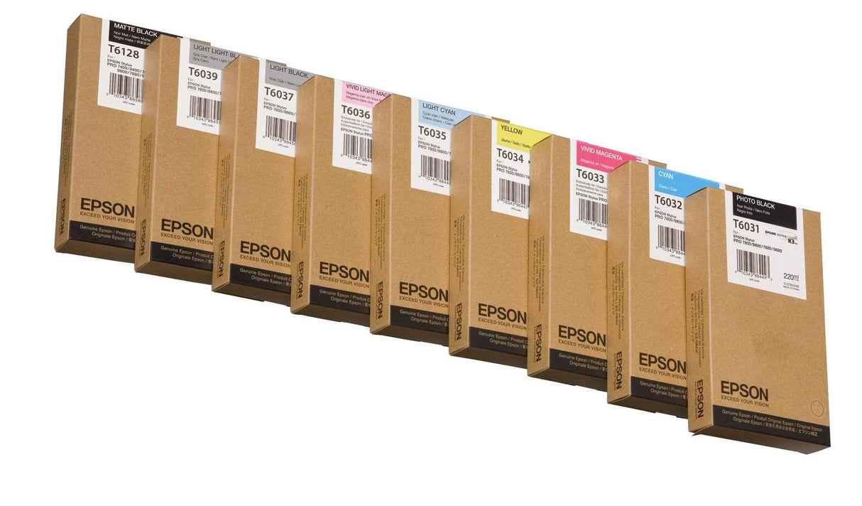 Epson T6032 Cyan Printer Ink Cartridge Original C13T603200 Single-pack