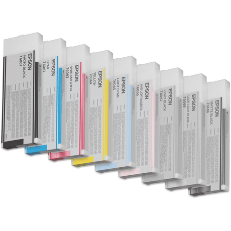 Epson T6067 Light Black Printer Ink Cartridge Original C13T606700 Single-pack