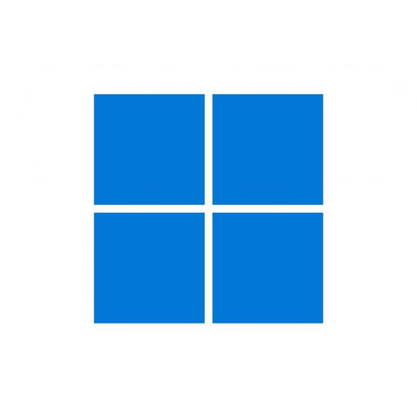 Microsoft Windows 11 Home to Pro Upgrade for Microsoft 365 Business - Perpetual License