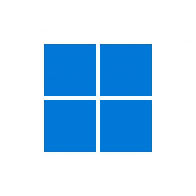 Microsoft Windows 11 Home to Pro Upgrade for Microsoft 365 Business - Perpetual License