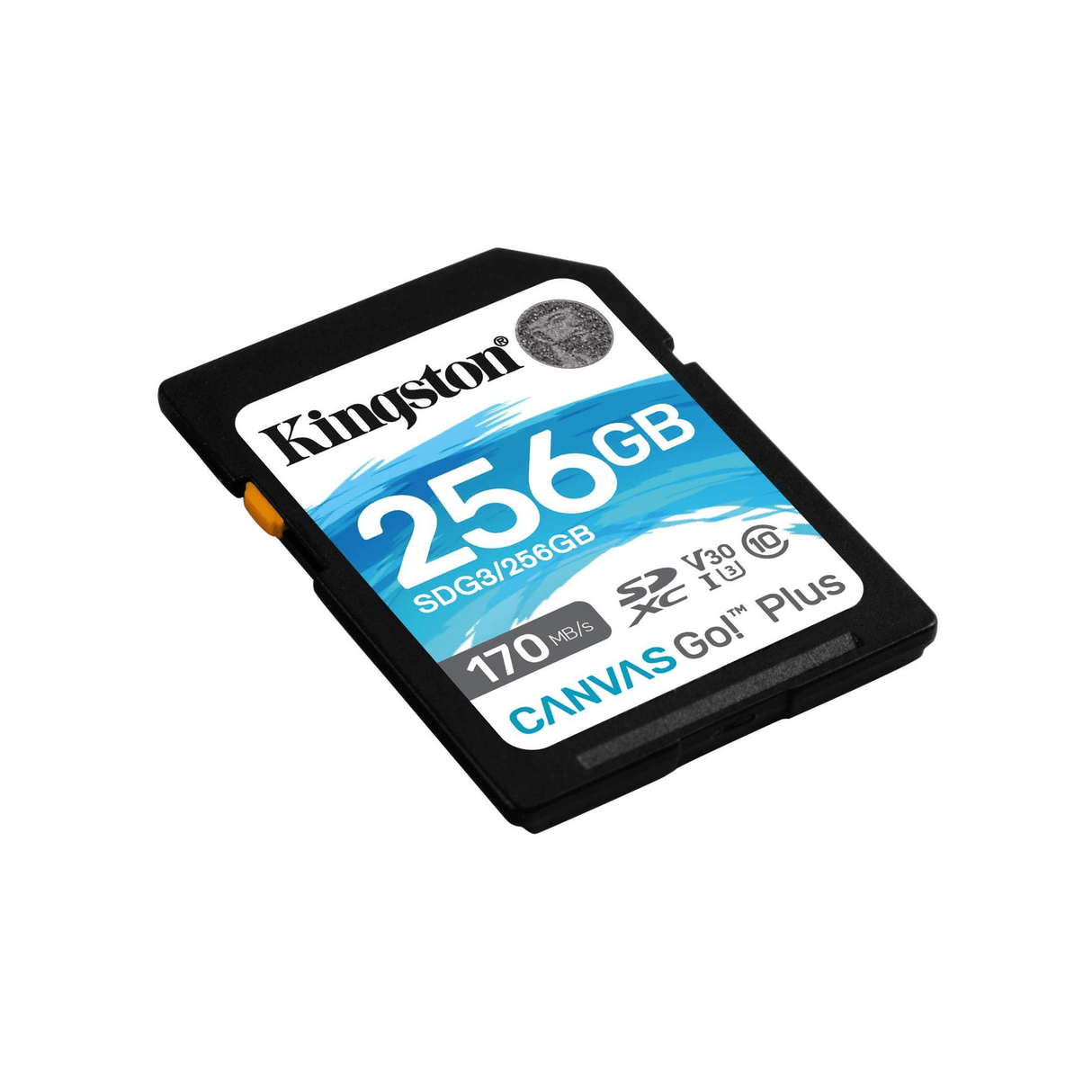 Kingston Canvas Go! Plus Memory Card 256GB SD Class 10 UHS-I SDG3/256GB