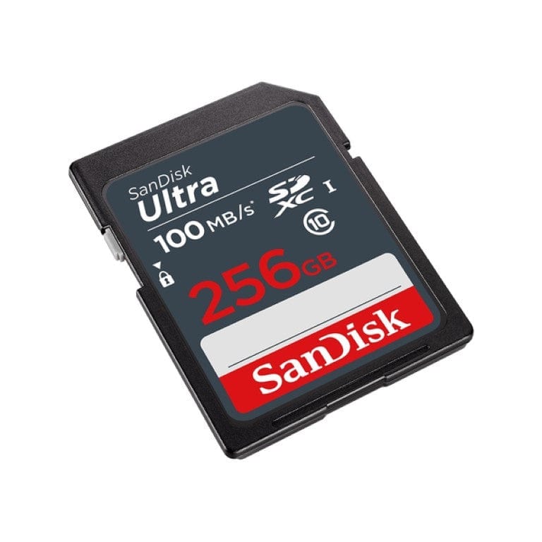 SanDisk SDXC Ultra 256GB Memory Card SDSDUNR-256G-GN3IN